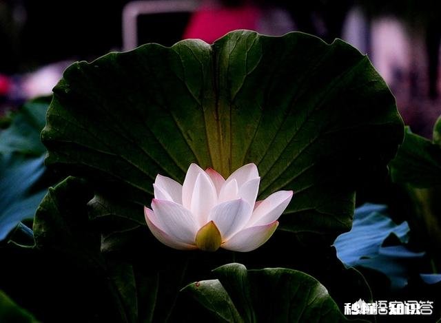 夫妻发生矛盾后，男方冷战该怎么办