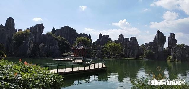 你老了后还愿意回到乡下与花草为伴吗