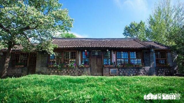 你老了后还愿意回到乡下与花草为伴吗