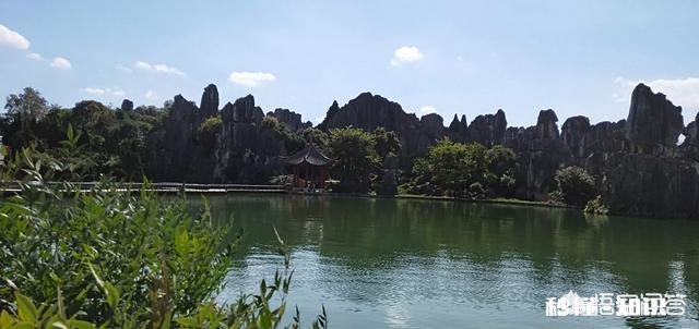 你老了后还愿意回到乡下与花草为伴吗