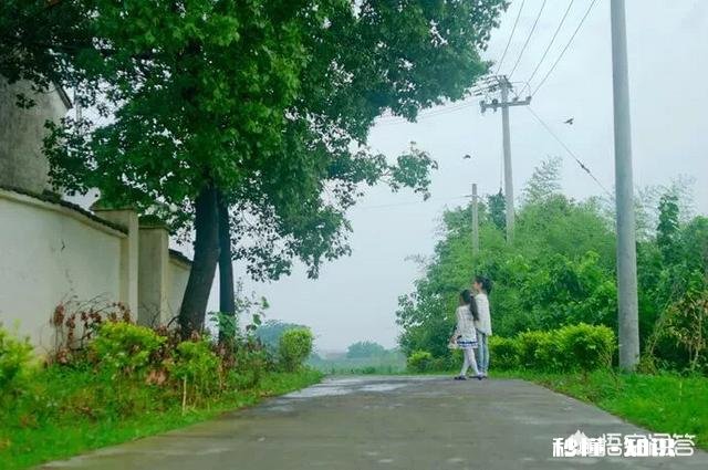 你老了后还愿意回到乡下与花草为伴吗