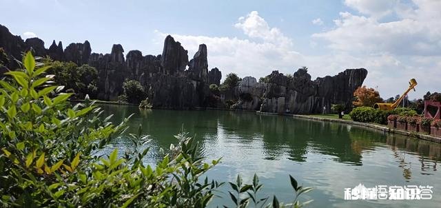 你老了后还愿意回到乡下与花草为伴吗