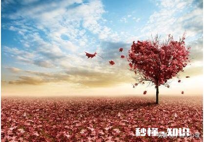 无论你有多好，总有人不喜欢，所以别奢望所有人的认同，有道理吗