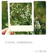 在头条写原创文章，如何才能不被剽窃