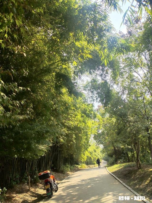 你会经常吃加工肉吗