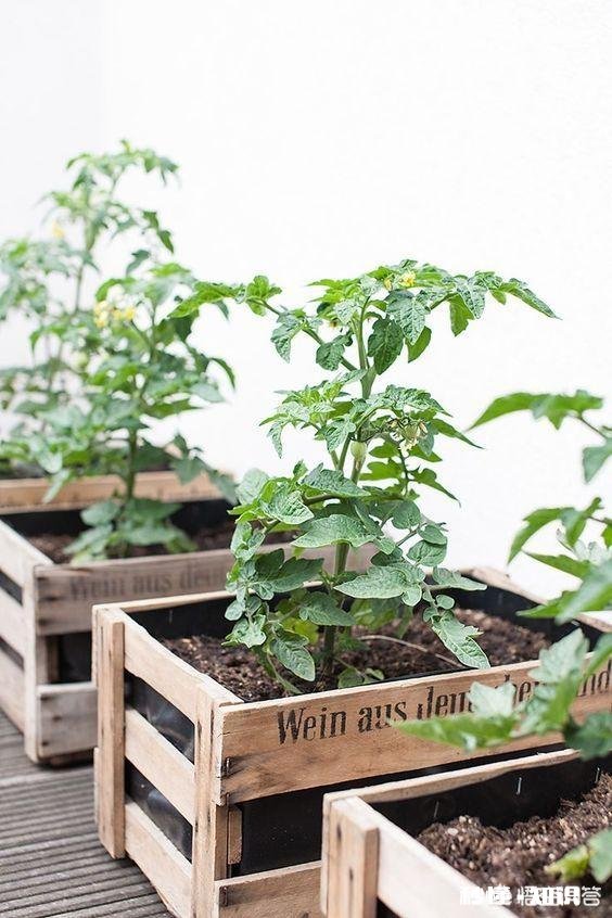 大的木头边角料应当如何变废为宝