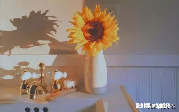 小县城的26岁单身阿姨,和父母一起住,是先买房还是先买车