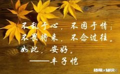 我们从小到大上学，读到大学毕业20多岁，然后又找到一份自己不感兴趣的工作或不喜欢的婚姻