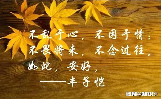 我们从小到大上学,读到大学毕业20多岁,然后又找到一份自己不感兴趣的工作或不喜欢的婚姻,到底为了什么