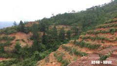 负债者真正缺什么