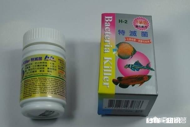 罗汉鱼凸眼是什么原因