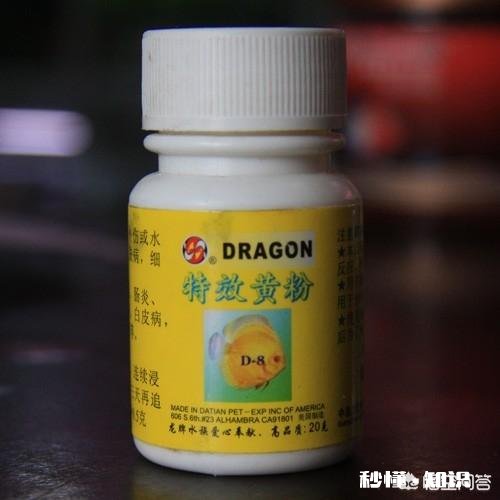 罗汉鱼凸眼是什么原因