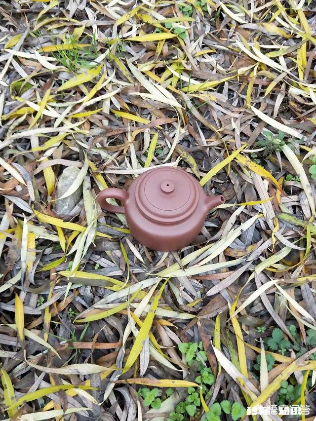 仿名家紫砂壶到底值不值得买有收藏价值吗