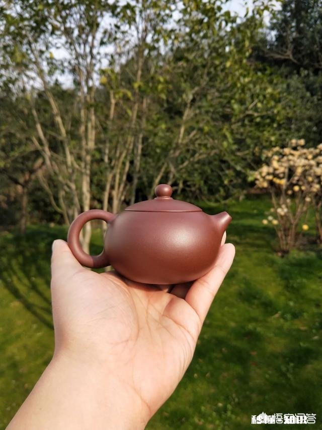 仿名家紫砂壶到底值不值得买有收藏价值吗