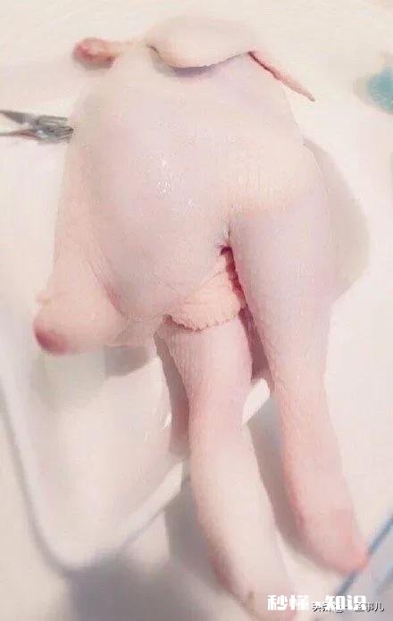 没什么才能，怎样把直播做起来