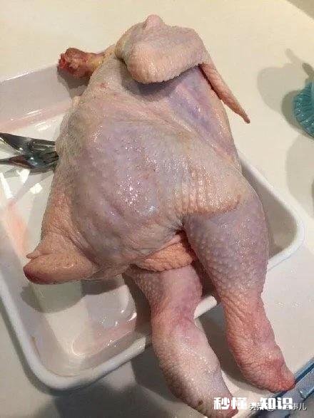 没什么才能，怎样把直播做起来