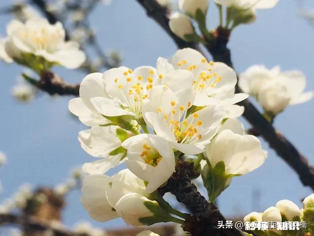 青少年的心理问题是否在日益加重