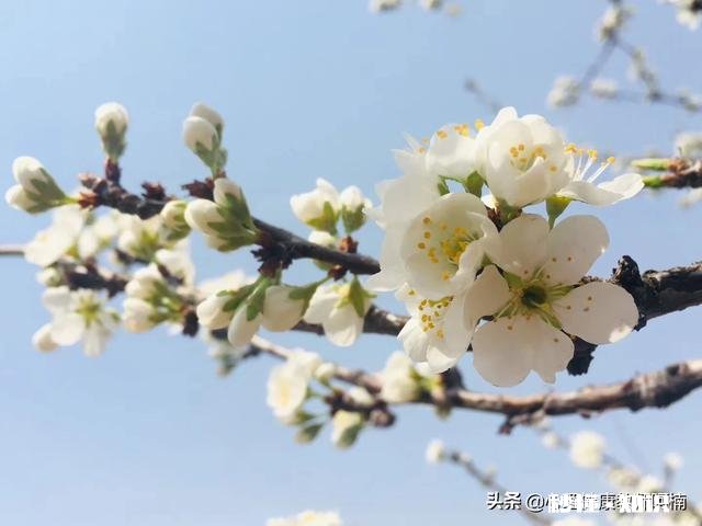 青少年的心理问题是否在日益加重