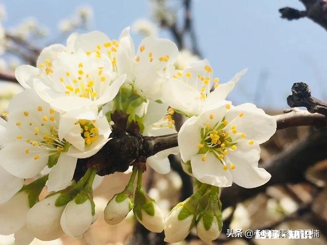 青少年的心理问题是否在日益加重