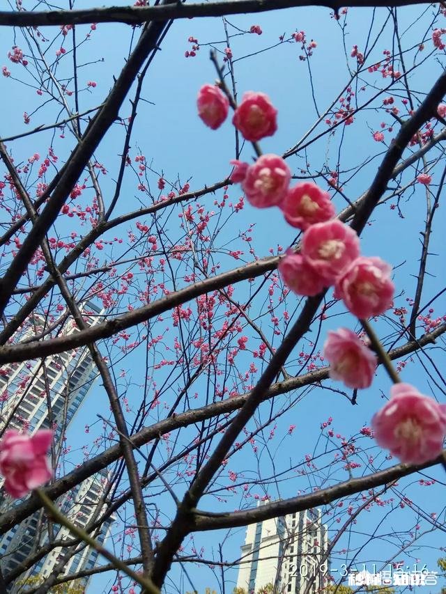 2019年三月所有驾考科目都完成了，科四考完当天就能拿到驾驶证吗