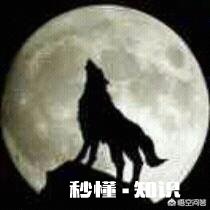 如果旅行期间可以免费住宿老人院，每天需要陪伴老人一个小时聊天活动，你愿意吗