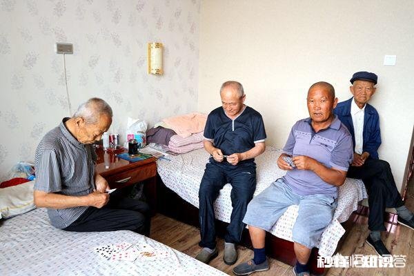 如果旅行期间可以免费住宿老人院，每天需要陪伴老人一个小时聊天活动，你愿意吗