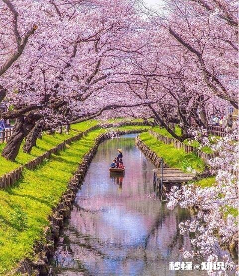 独生子女家庭，父母心理或多或少总有缺陷不够健全，你会认同吗