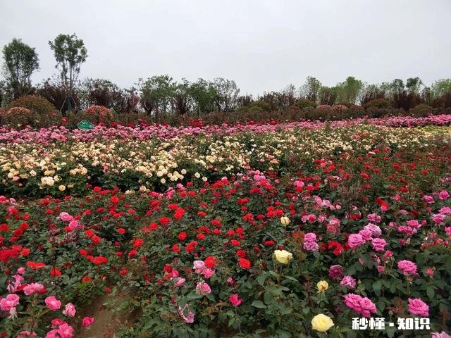 你认为最能体现你家乡特色的景物或者小吃是什么