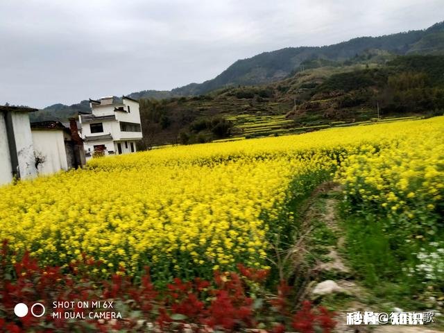 你认为最能体现你家乡特色的景物或者小吃是什么