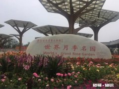 你认为最能体现你家乡特色的景物或者小吃是什么