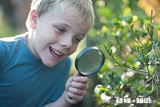 小学一年级观察日记都种什么