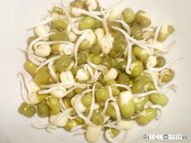 小学一年级观察日记都种什么