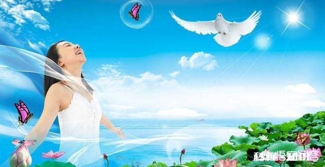 3月12号会千股涨停吗