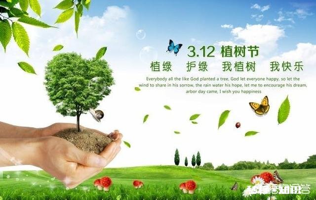 3月12号会千股涨停吗