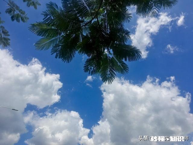 国庆节你准备到哪个城市玩