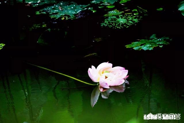 年龄已成熟，如何让思想也成熟起来呢