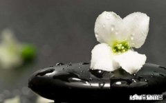 年龄已成熟，如何让思想也成熟起来呢