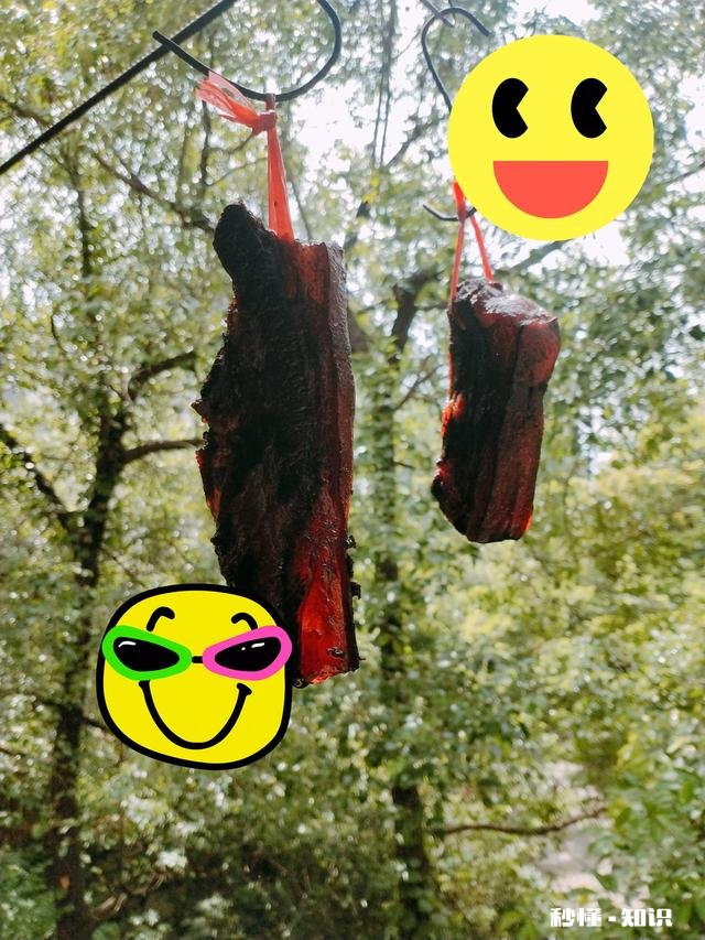 你平常煮菜有加香料吗