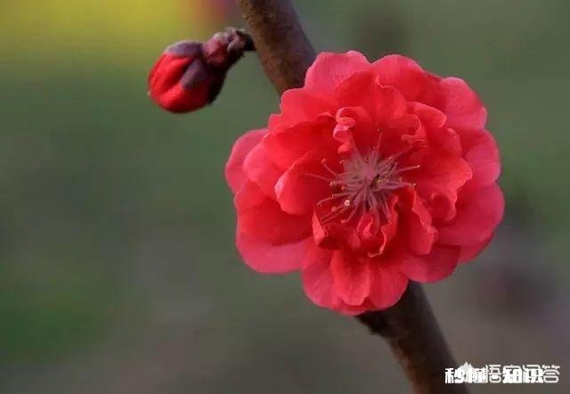 你会不会时常感到孤独，不想一个人走路，不想一个人上厕所…但是又不愿意主动表达