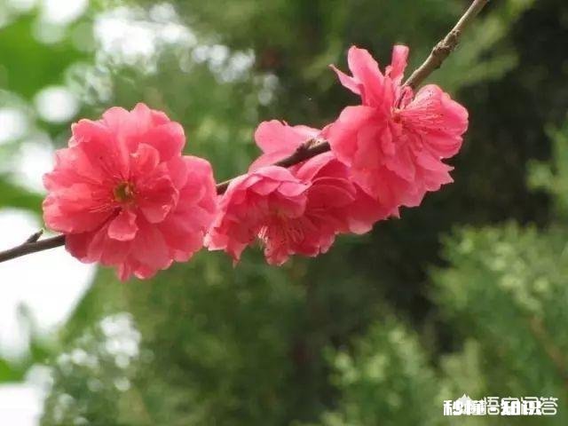 你会不会时常感到孤独，不想一个人走路，不想一个人上厕所…但是又不愿意主动表达