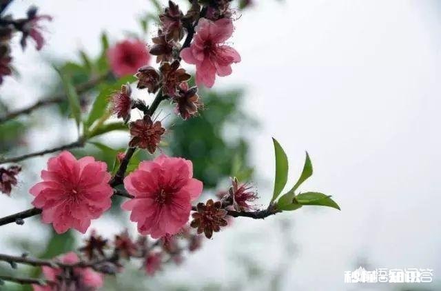 你会不会时常感到孤独，不想一个人走路，不想一个人上厕所…但是又不愿意主动表达