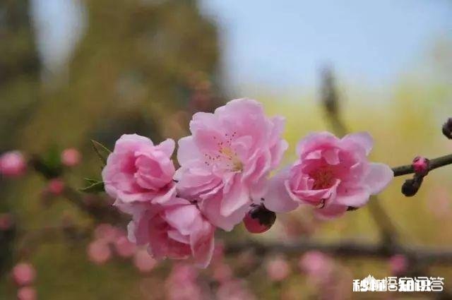 你会不会时常感到孤独，不想一个人走路，不想一个人上厕所…但是又不愿意主动表达