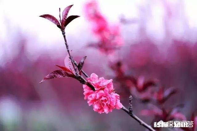 你会不会时常感到孤独，不想一个人走路，不想一个人上厕所…但是又不愿意主动表达