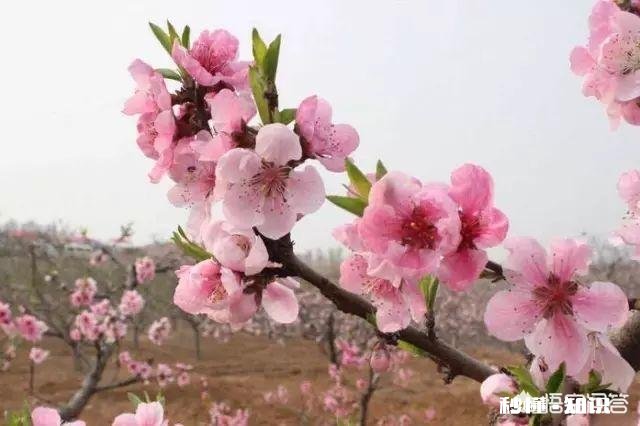 你会不会时常感到孤独，不想一个人走路，不想一个人上厕所…但是又不愿意主动表达