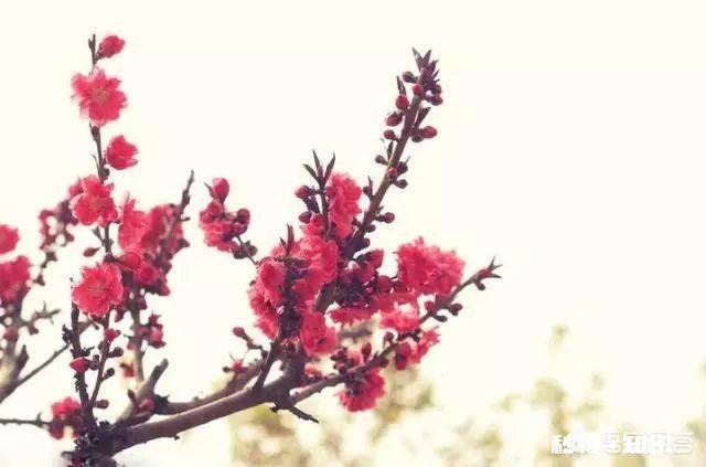 你会不会时常感到孤独，不想一个人走路，不想一个人上厕所…但是又不愿意主动表达