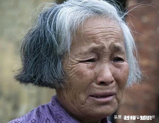 务农家庭，父母年纪大了，干不动农活了，他们还可以做些什么来消磨时光呢