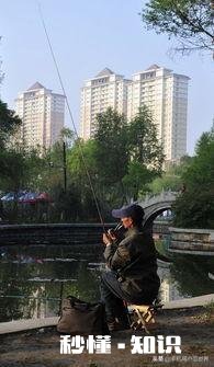 务农家庭，父母年纪大了，干不动农活了，他们还可以做些什么来消磨时光呢