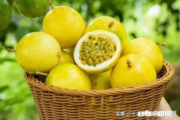 如何在农村做些简单的手工制品，利用留守劳动力制作开工资，有哪些好的建议