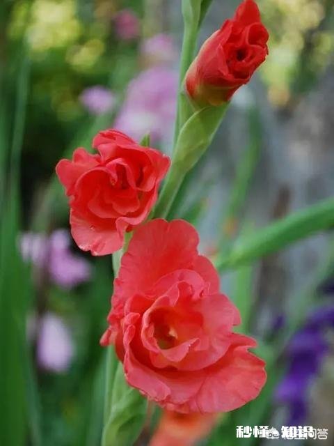 本人的沟通能力与社会交往能力存在很大的问题，该怎么办