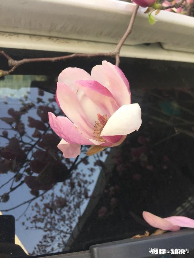 网课考试设了个坑，抓住我作弊了，怎么办